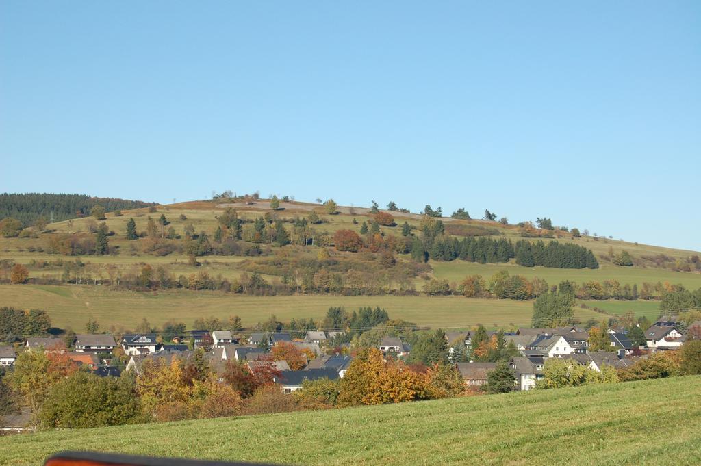 Ferienwohnungen Westfalenhof Willingen  Dış mekan fotoğraf