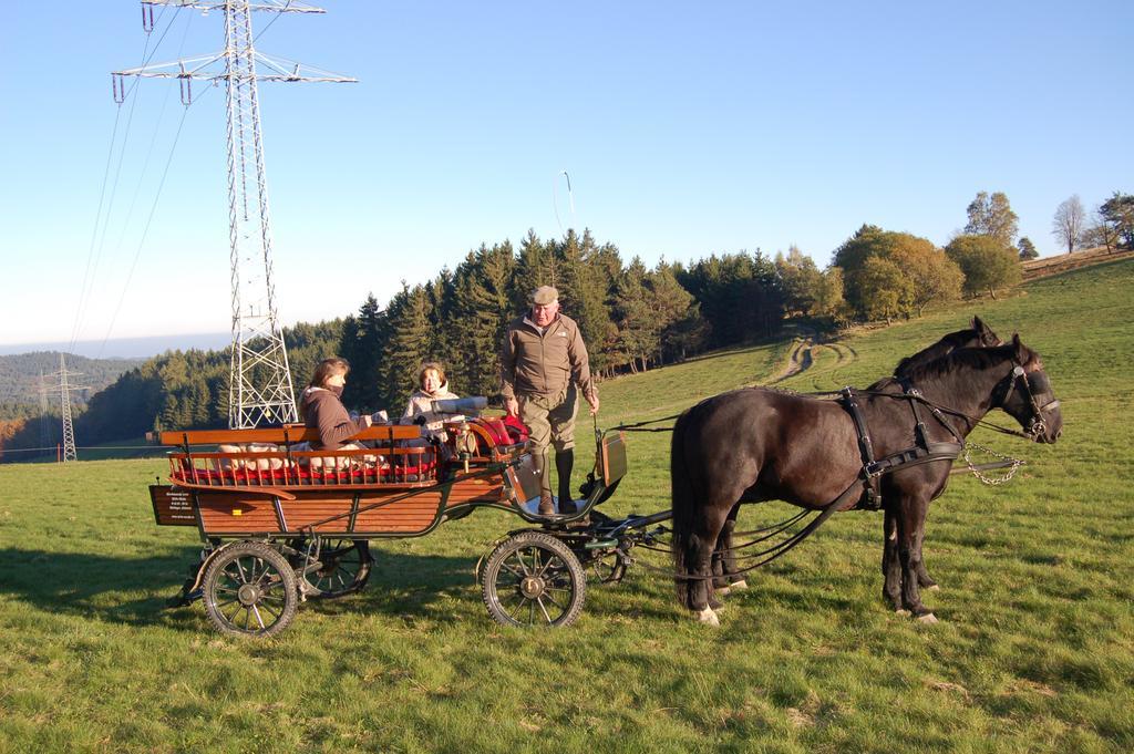 Ferienwohnungen Westfalenhof Willingen  Dış mekan fotoğraf